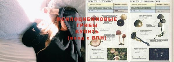 соль ск Мегион