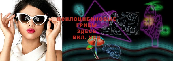 соль ск Мегион