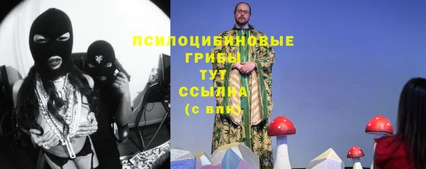бутират Медногорск