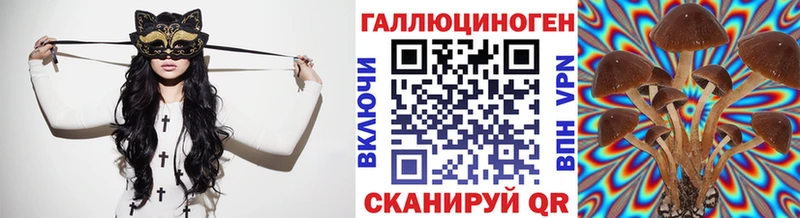 shop официальный сайт  Дмитриев  Псилоцибиновые грибы мухоморы 