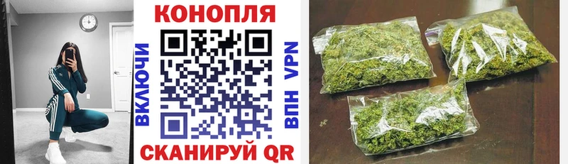 Шишки марихуана OG Kush Дмитриев